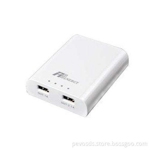 IPhone 4S / Ipad Mini 18650 Universal Portable Power Bank 5